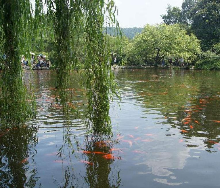 1 Day Hangzhou West Lake Tour from Shanghai