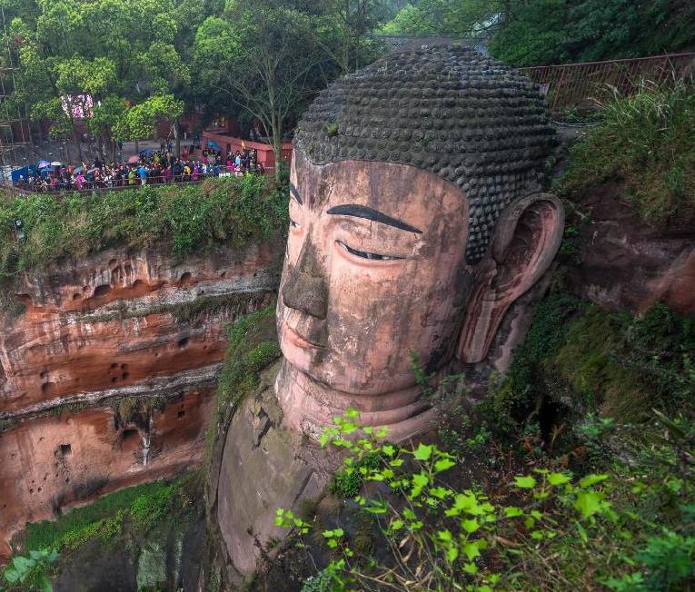 1 Day Giant Buddha & Tea Terrace town 