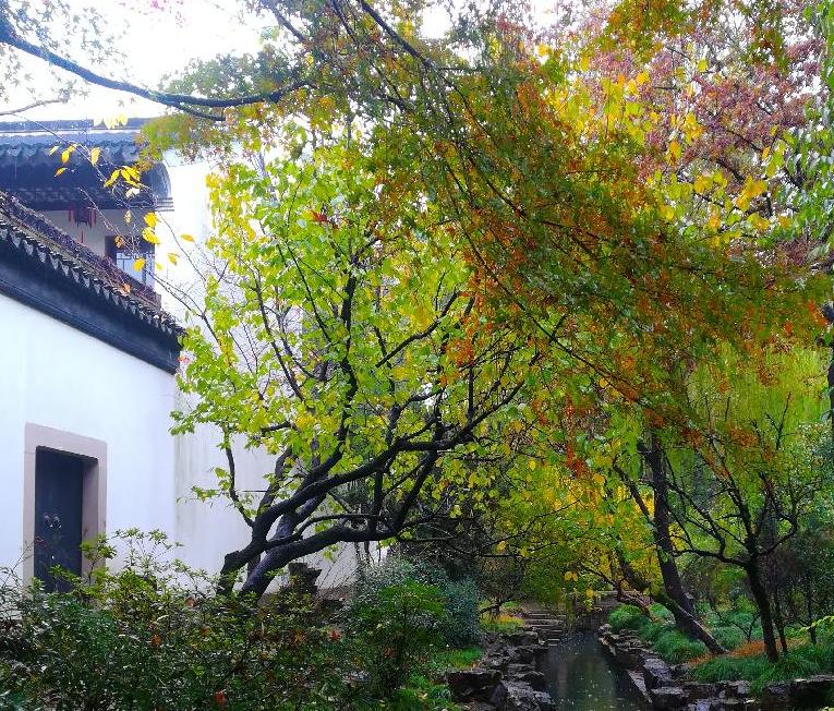 1 Day Suzhou Garden and Grand Canal Cruise Tour from Shanghai 